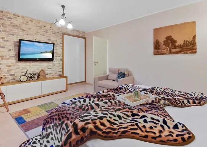 Bella Apartment Brasov